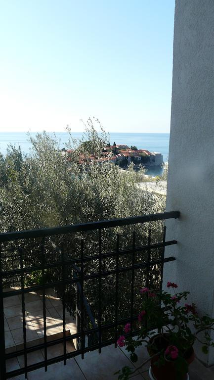 Guest house Živković Sveti Stefan Exteriér fotografie