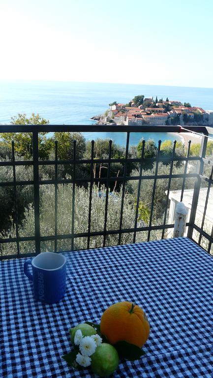 Guest house Živković Sveti Stefan Exteriér fotografie
