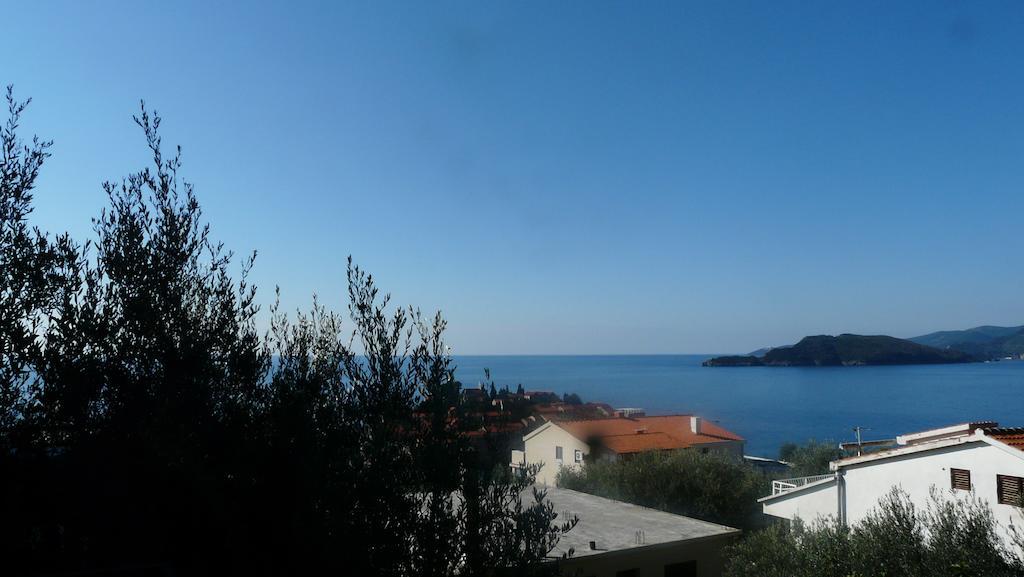 Guest house Živković Sveti Stefan Exteriér fotografie