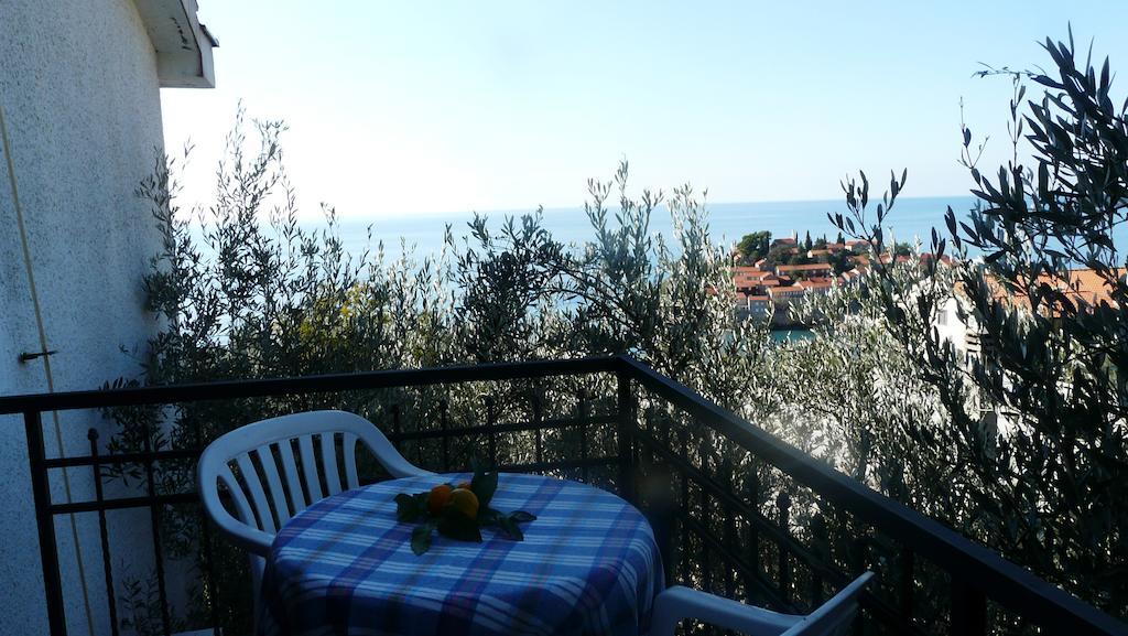 Guest house Živković Sveti Stefan Pokoj fotografie