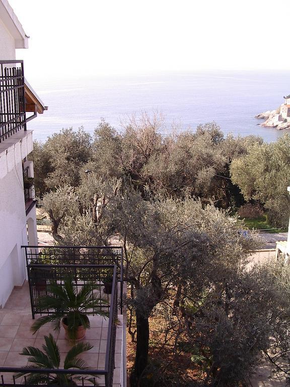 Guest house Živković Sveti Stefan Exteriér fotografie